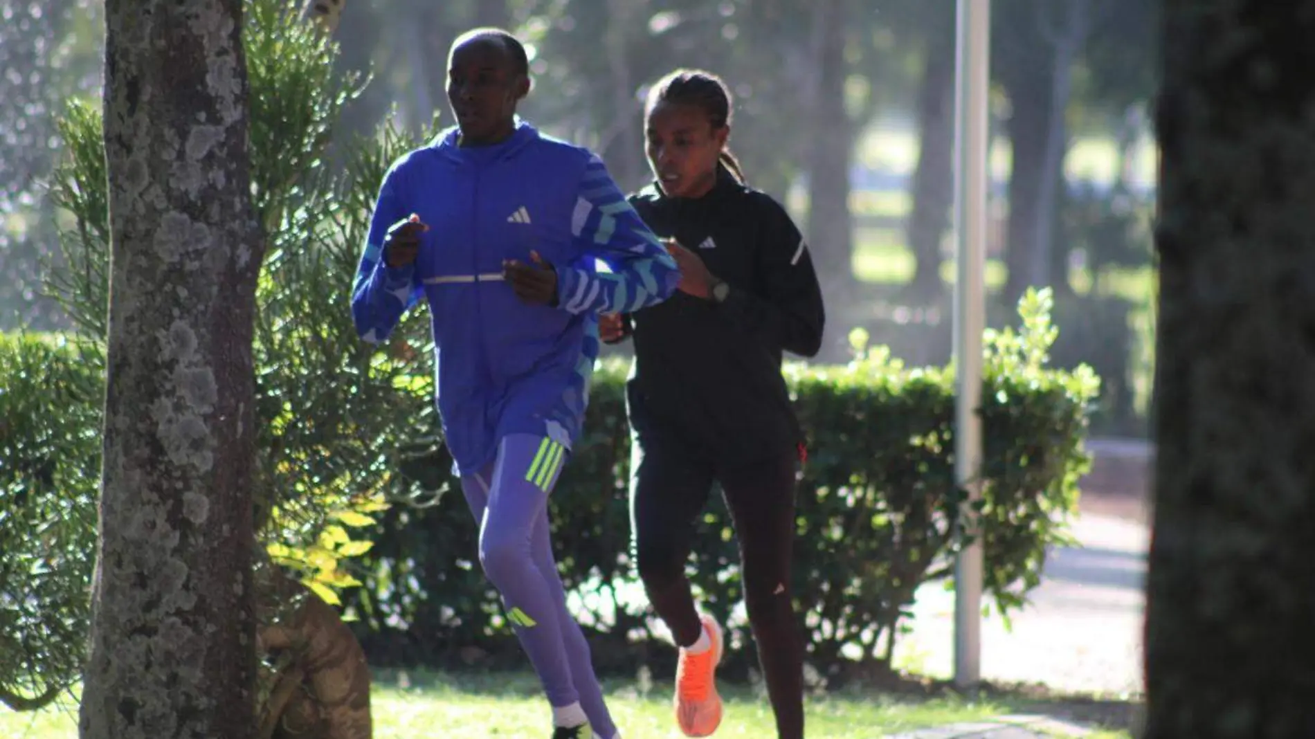 Maraton de Puebla preparacion de atletas